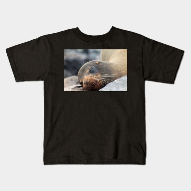 Sea Lion Whiskers Kids T-Shirt by jhuxster